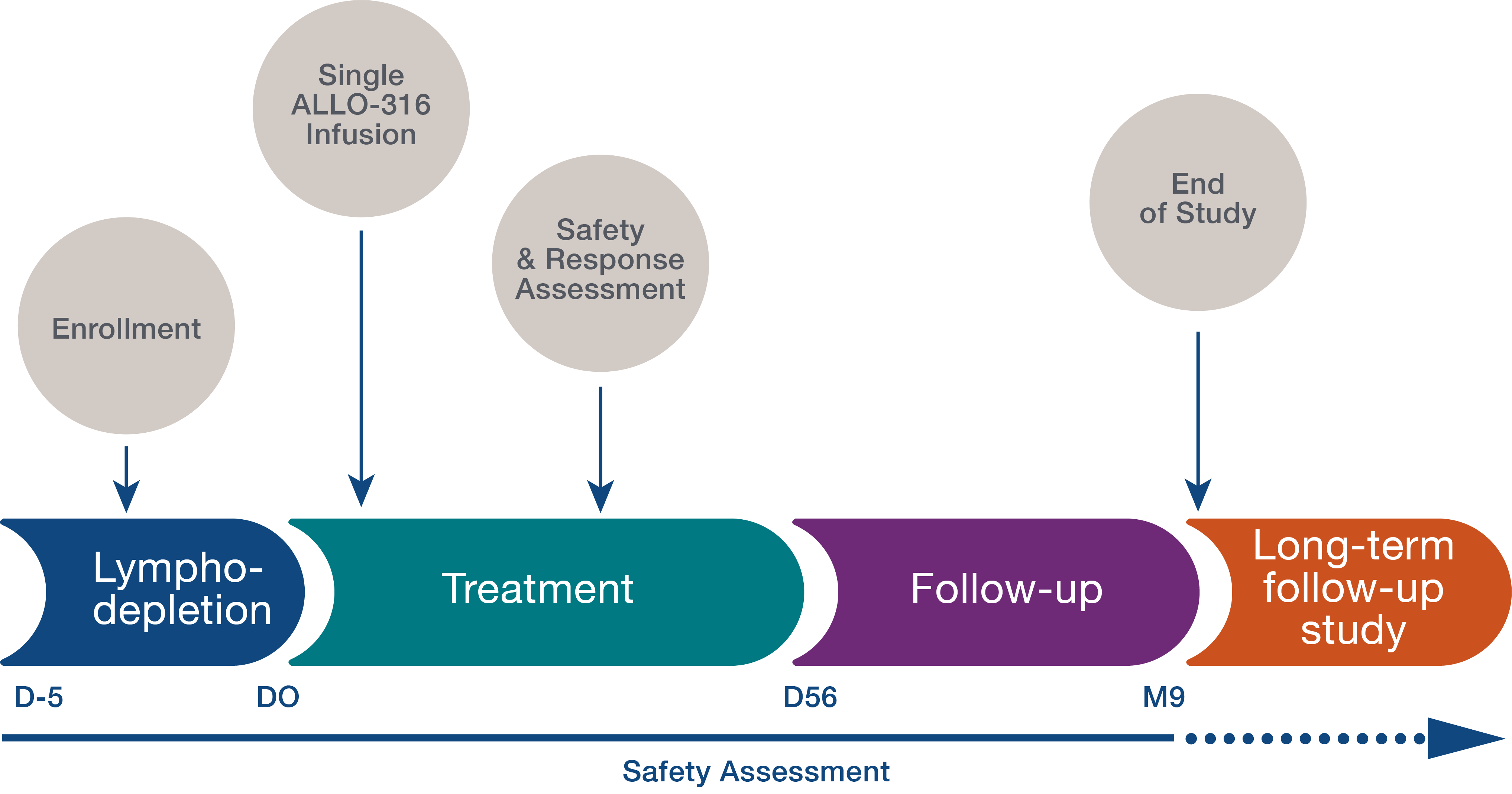 Safety Assessment