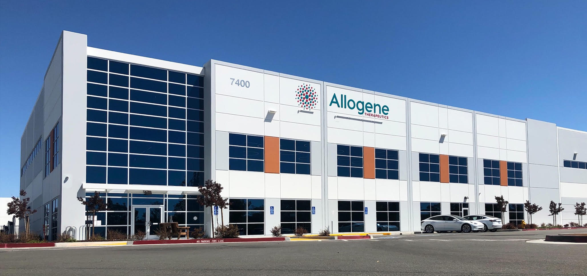 Allogene Building