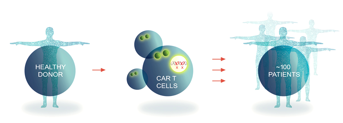 CarT Donor Cells