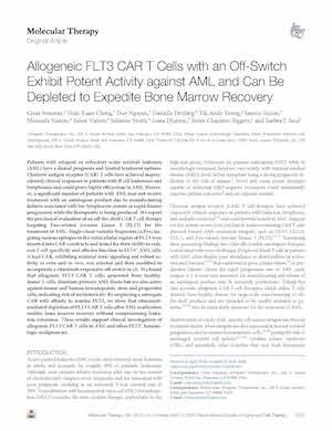 Read more about the article Allogeneic FLT3 CAR T Cells with an Off-Switch Exhibit Potent Activity against AML and Can Be Depleted to Expedite Bone Marrow Recovery