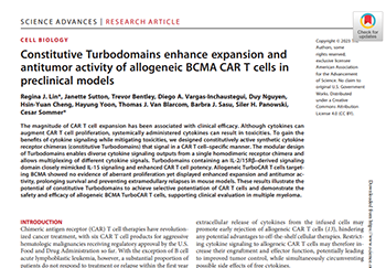 Read more about the article Constitutive Turbodomains Enhance Expansion and Antitumor Activity of Allogeneic BCMA CAR T Cells in Preclinical Models