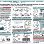 American Association for Cancer Research (AACR) June 2020 – Screening and Characterization of AlloCAR T™ Targeting DLL3 for the Treatment of Small Cell Lung Cancer