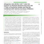 Allogeneic Anti-BCMA CAR T Cells Are Superior to Multiple Myeloma-derived CAR T Cells in Preclinical Studies and May Be Combined with Gamma Secretase Inhibitors