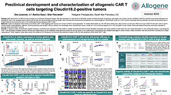 Read more about the article Preclinical Development and Characterization of Allogeneic CAR T Cells Targeting Claudin18.2 Positive Tumors