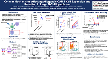 Read more about the article Cellular Mechanisms Affecting Allogeneic CAR T Cell Expansion and Rejection in Large B-cell Lymphoma<sup>*</sup>