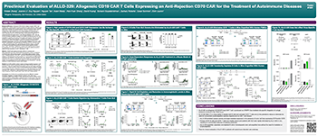 Read more about the article Preclinical Evaluation of ALLO-329: Allogeneic CD19 CAR T Cells Expressing an Anti-Rejection CD70 CAR for the Treatment of Autoimmune Diseases